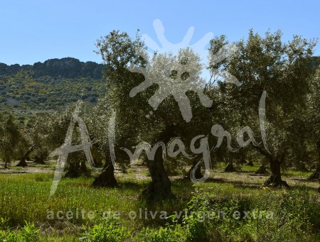 Un enclave privilegiado