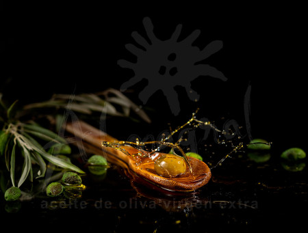 Fuente de salud natural